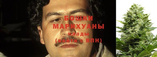 спиды Ивангород