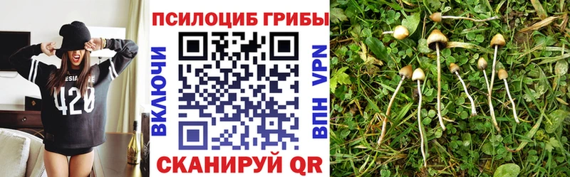 Галлюциногенные грибы Cubensis  наркошоп  shop формула  Сусуман 