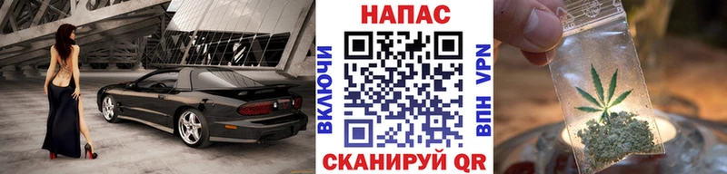 Шишки марихуана Amnesia  как найти   Сусуман 
